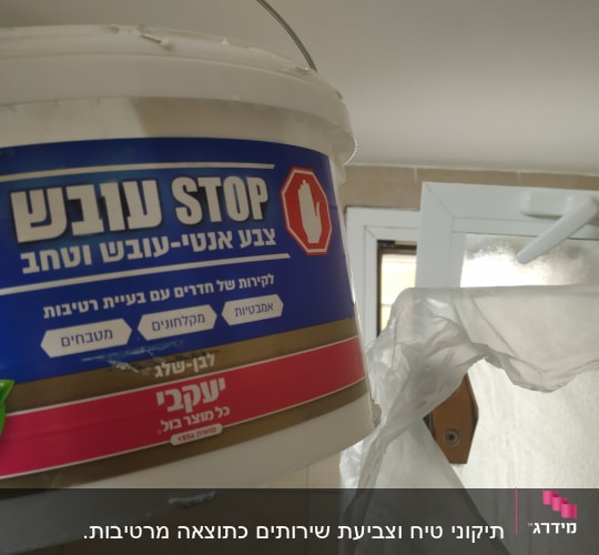 דלי צבע נגד עובש עם כיתוב בעברית